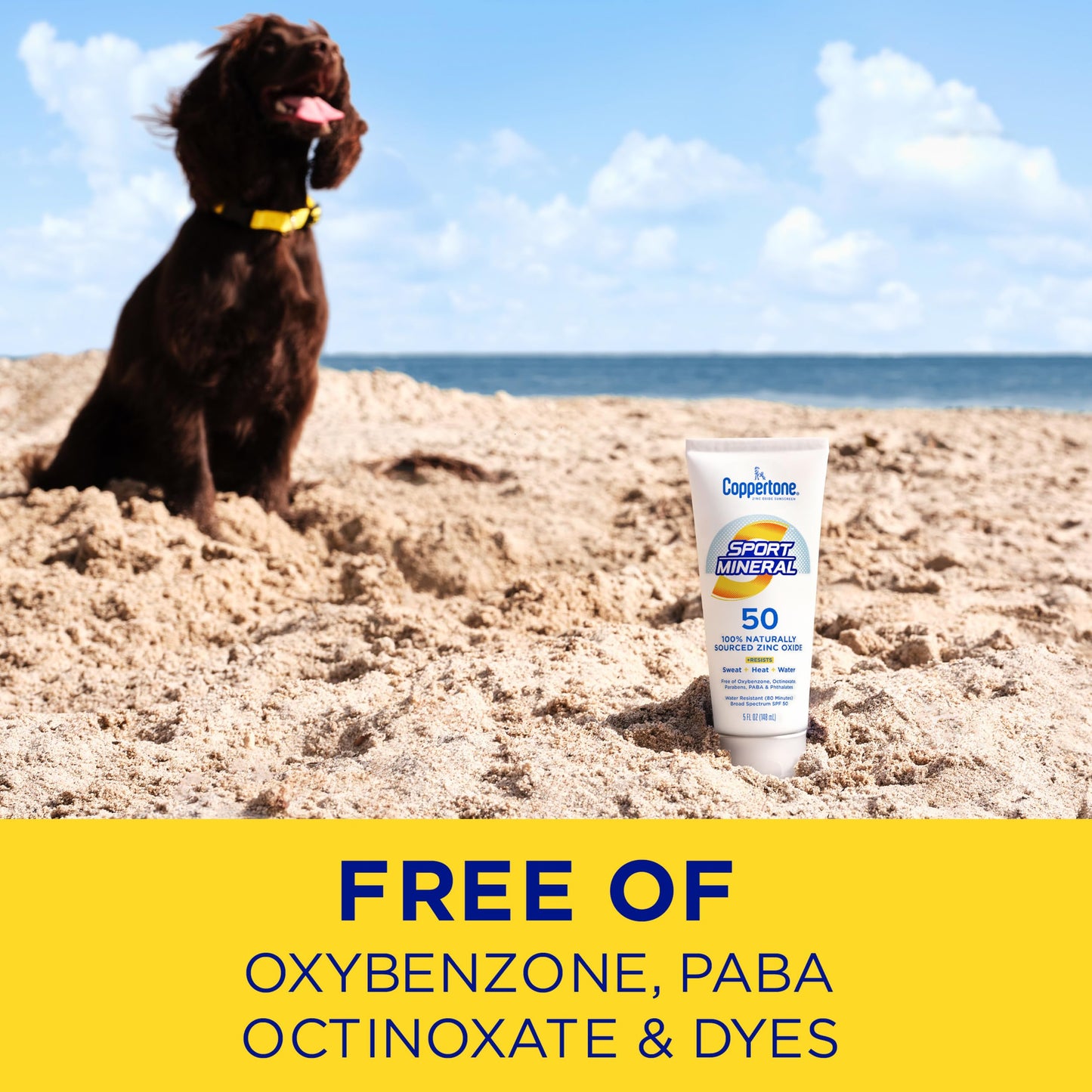 Coppertone SPORT Sunscreen Lotion Broad Spectrum SPF 50, Water Resistant 80 Minutes, UVA/UVB Protection, Moisturizing Formula with Vitamin E, 7 Fluid Ounce